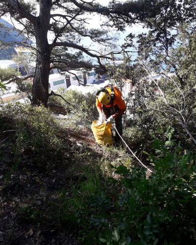 EMMEBI CONSOLIDAMENTI - Lavori forestali